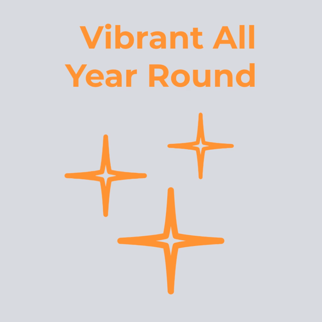 Green and vibrant all year round